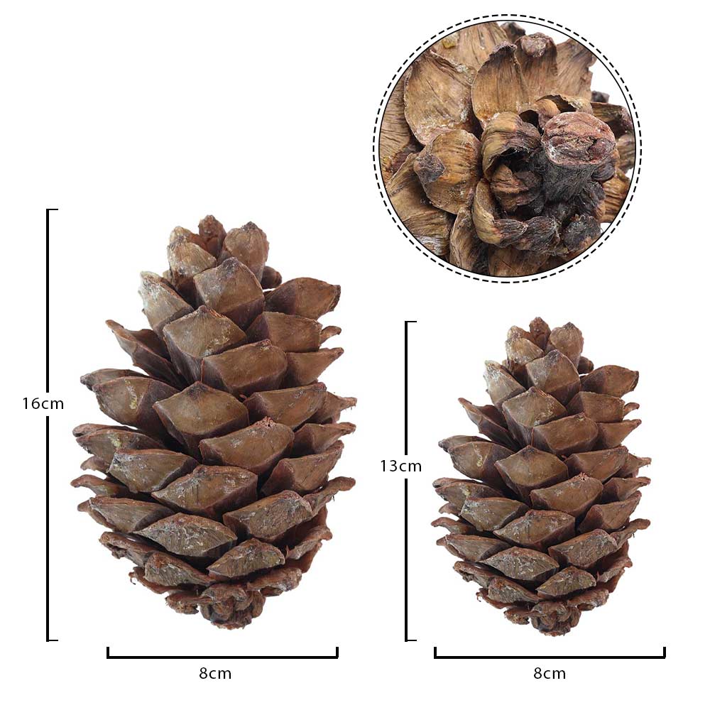 10PCS Natural Christmas Pine Cones (other decoration items not included) - Image 3