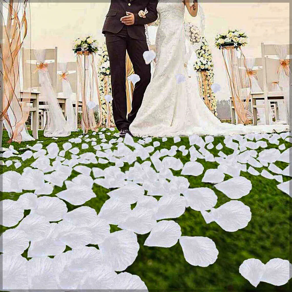 144 Pieces Artificial Silk Rose Petals - Image 19