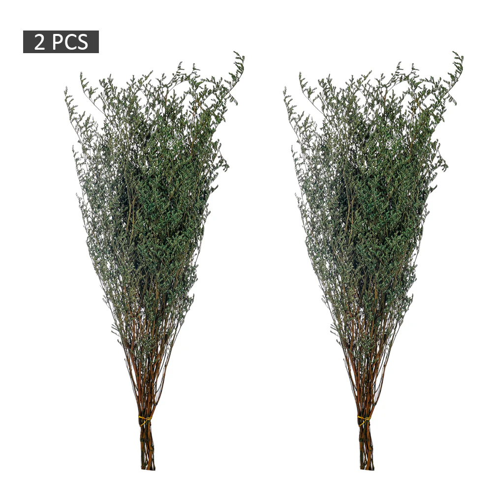 2bunches Dried Caspia Flower(without vase) - Image 15