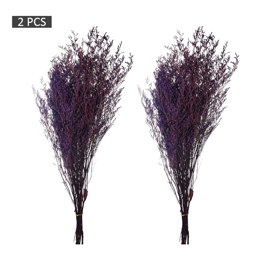2bunches Dried Caspia Flower(without vase) - Image 3