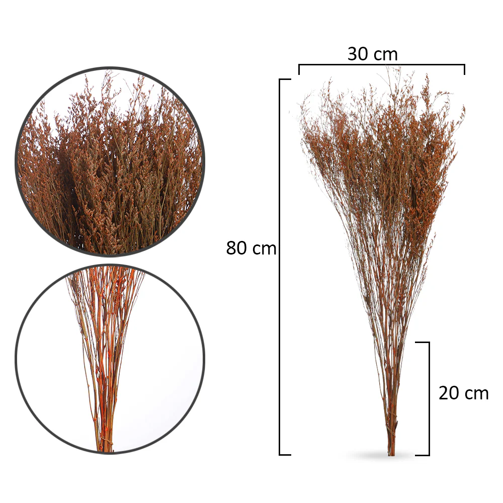2bunches Dried Caspia Flower(without vase) - Image 6