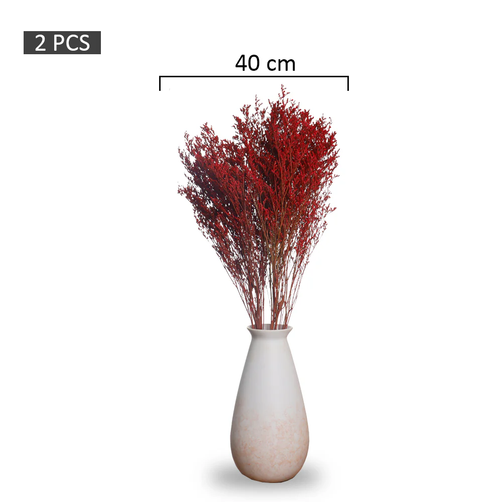 2bunches Dried Caspia Flower(without vase) - Image 9