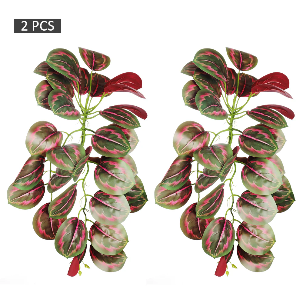 2pcs Hanging Calathea Orbifolia Leaves - Image 16
