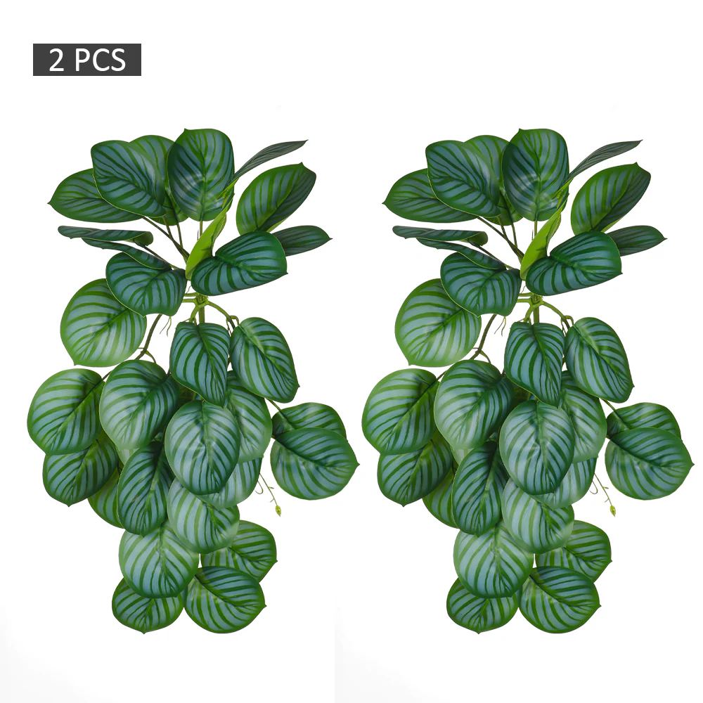2pcs Hanging Calathea Orbifolia Leaves - Image 8