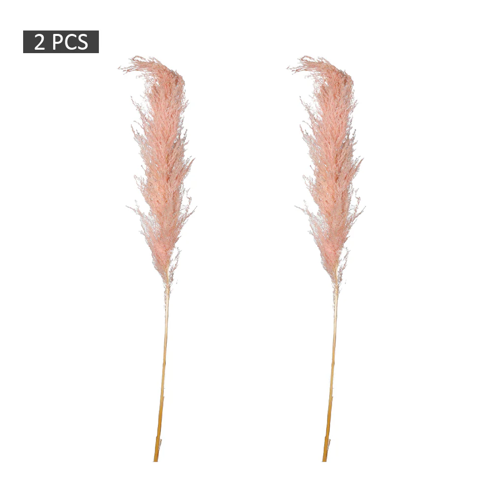 2-Packs Natural Dried Pampas Grass(without vase) - Image 15
