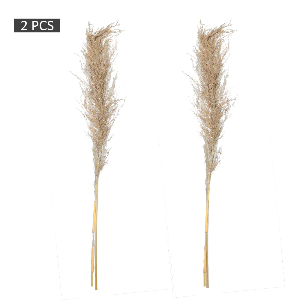 2-Packs Natural Dried Pampas Grass(without vase) - Image 3