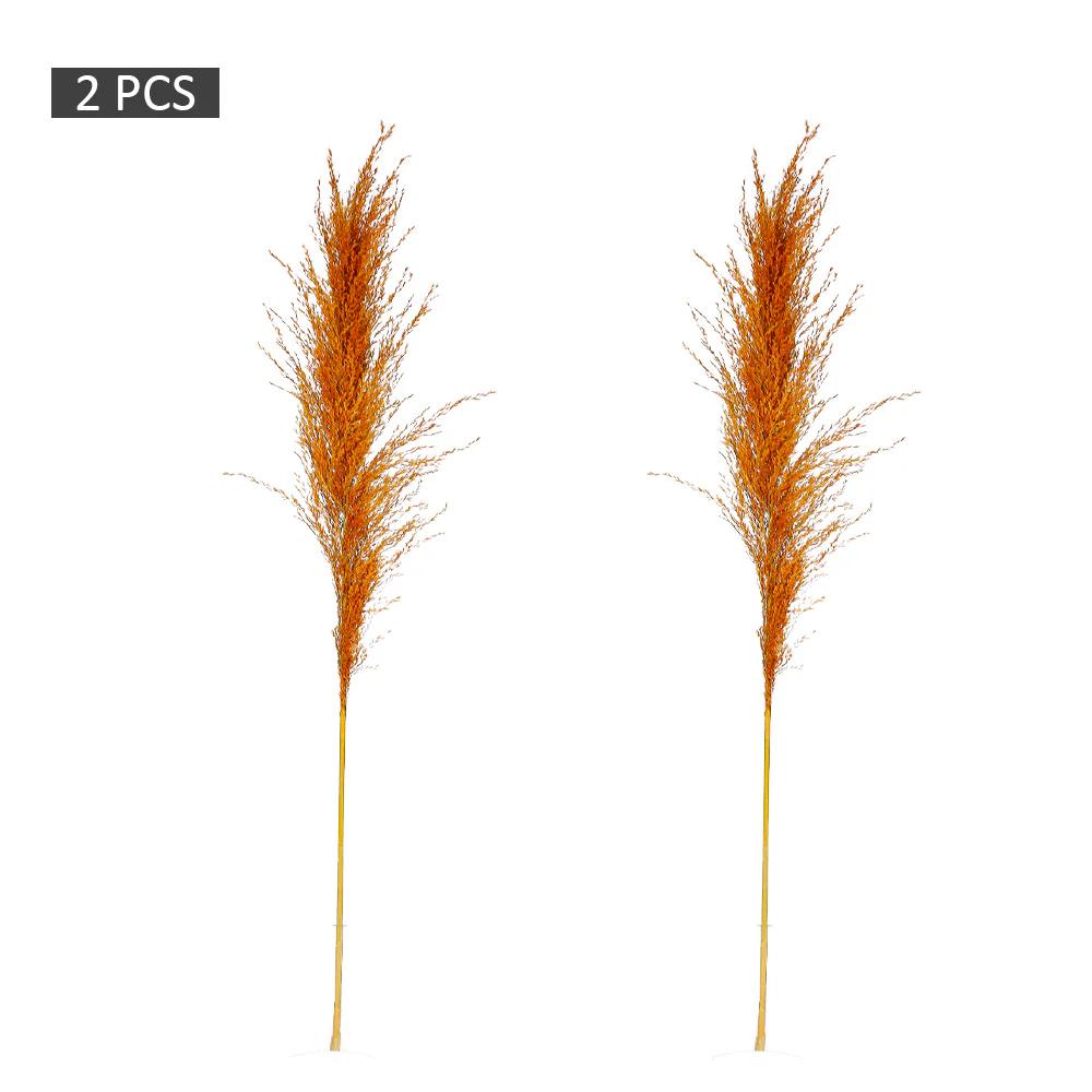 2-Packs Natural Dried Pampas Grass(without vase) - Image 6