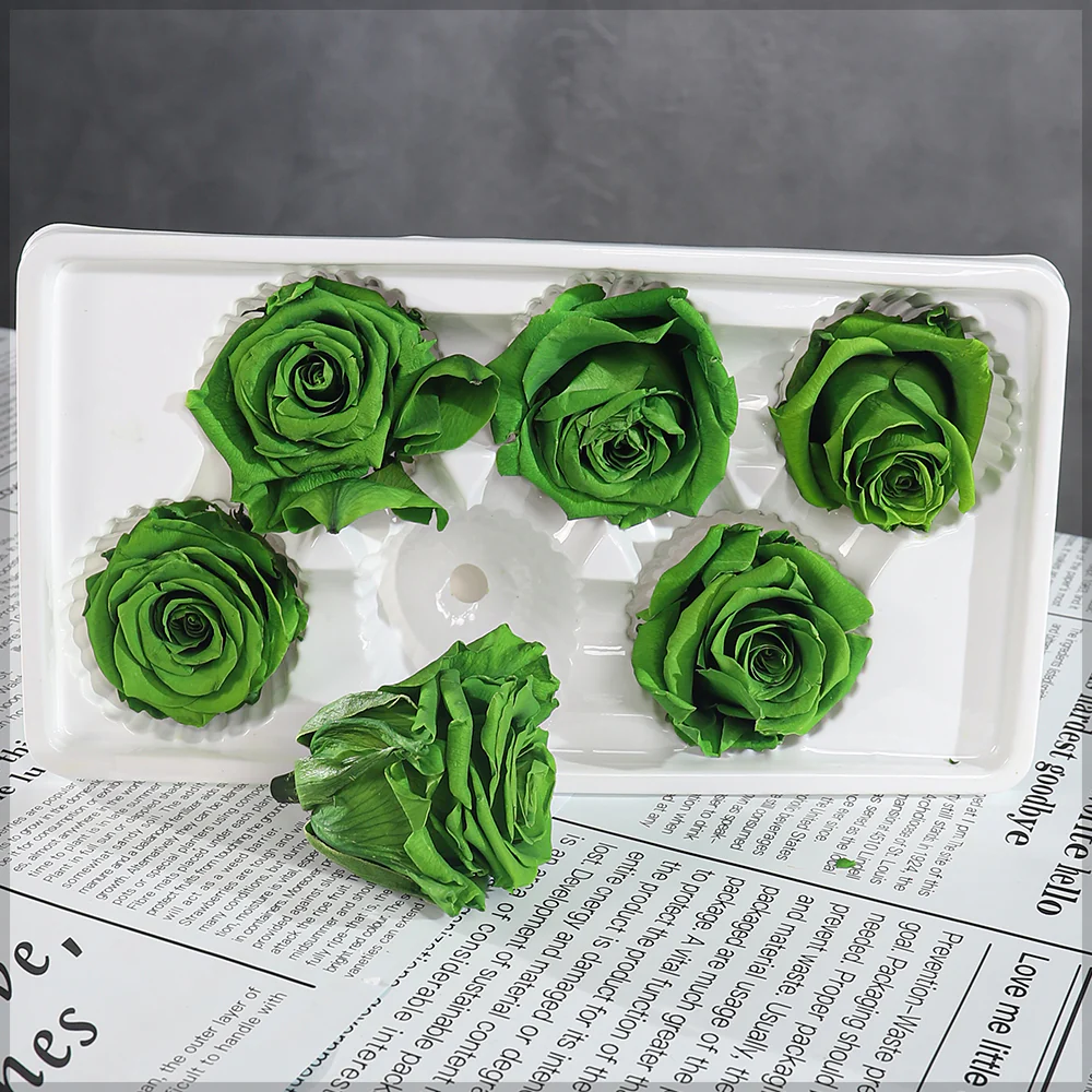 6 Pieces Preserved Rose Flower - Image 21