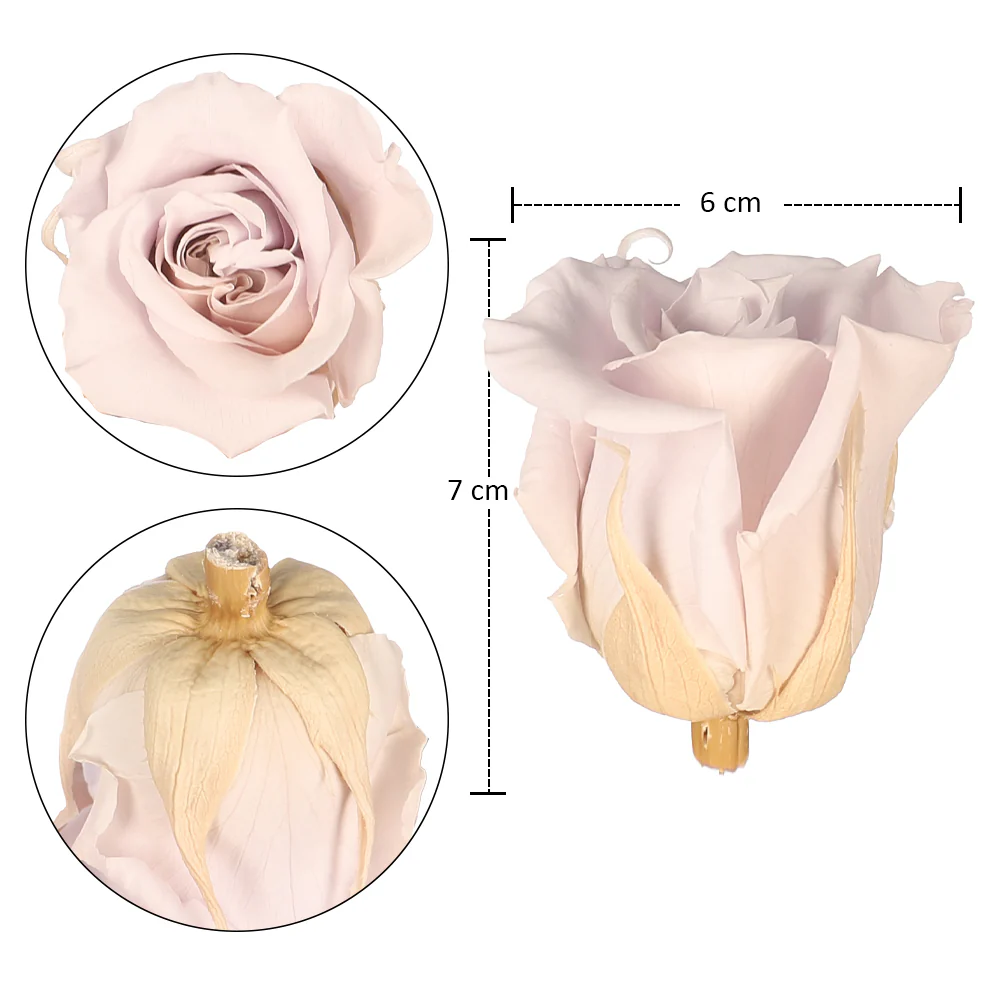 6 Pieces Preserved Rose Flower - Image 30