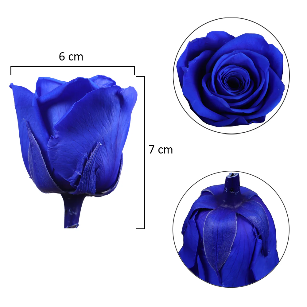 6 Pieces Preserved Rose Flower - Image 53