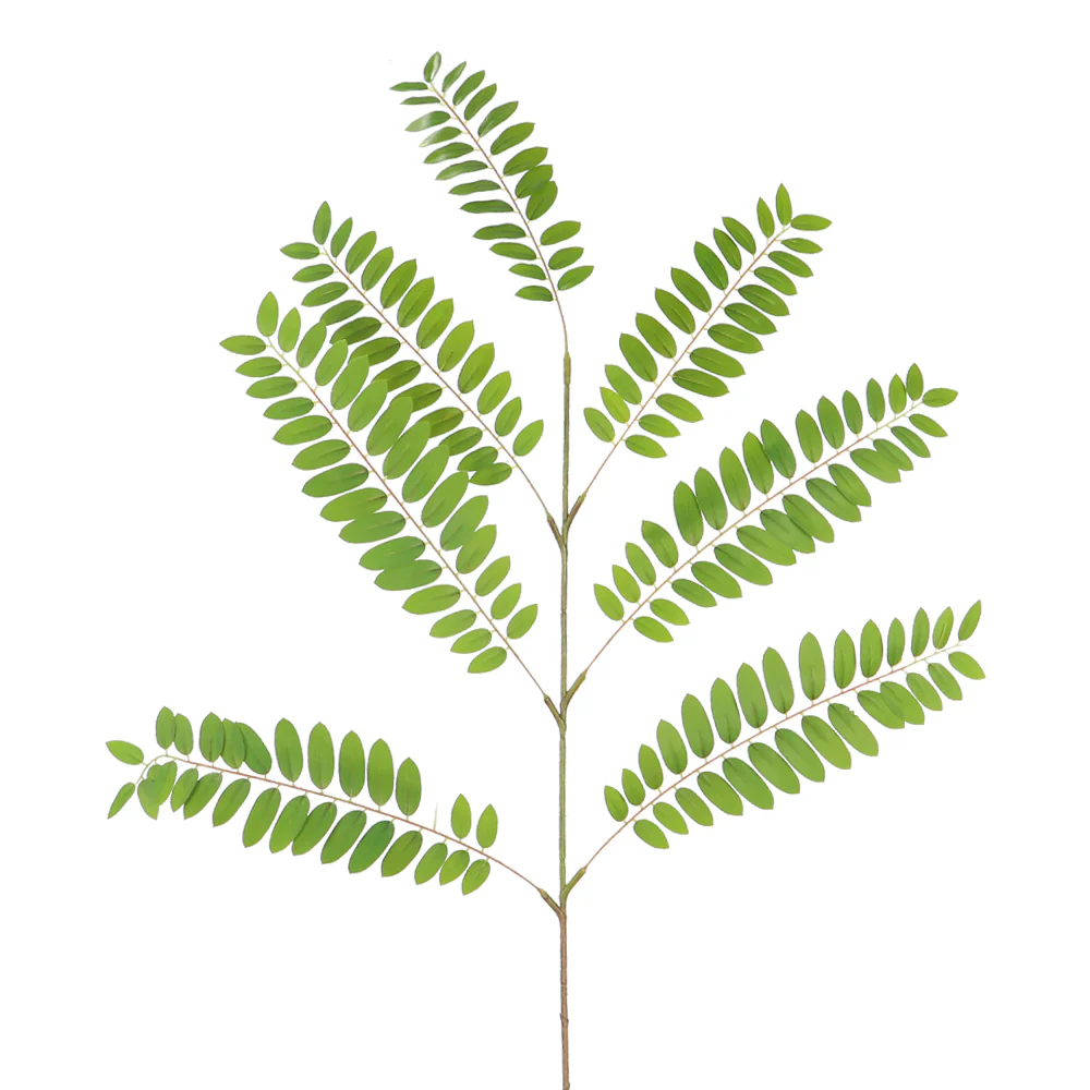 Artificial Acacia Leaves (without vase) - Image 4