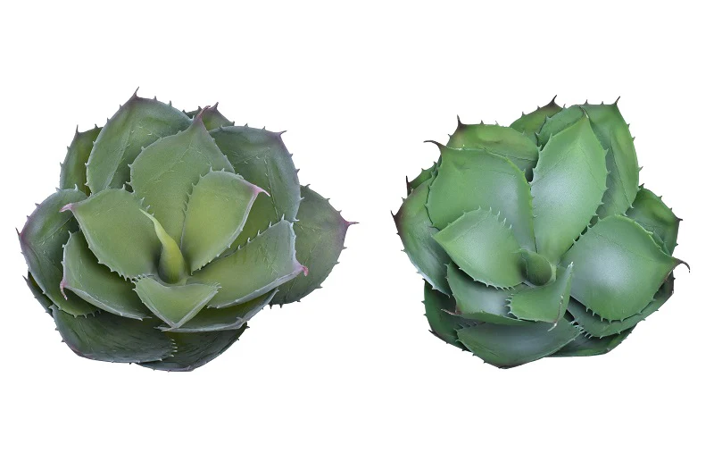 Artificial Agave Attenuata Succulent Plants - Image 7