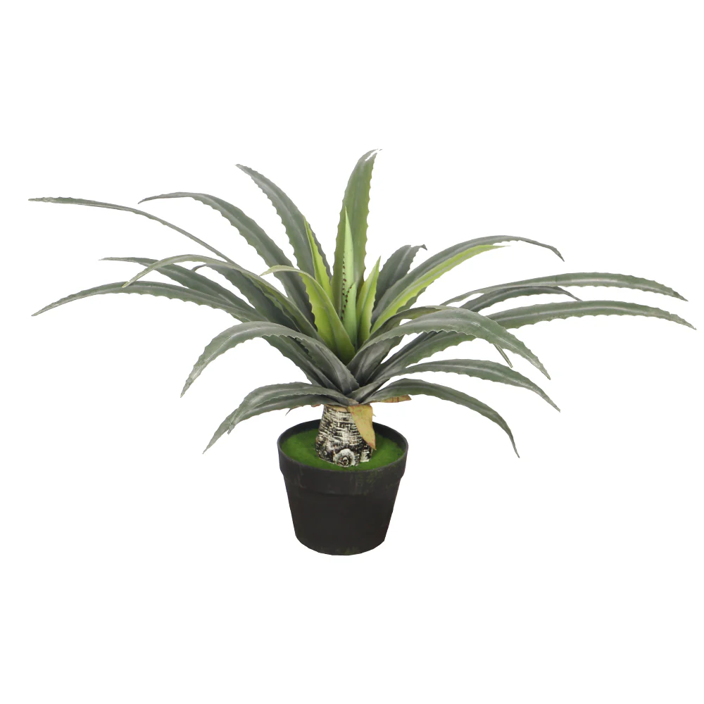 Artificial Agave Plant 45cm High - Image 6