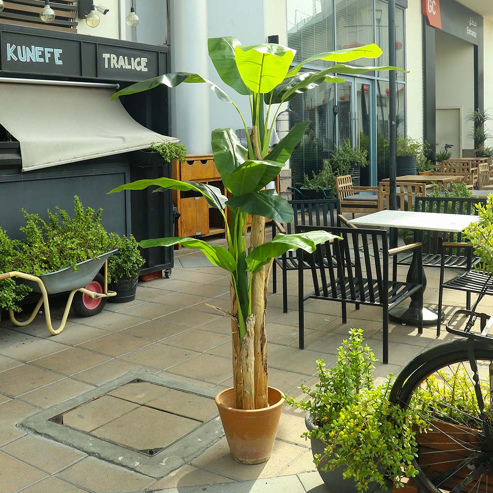Artificial Banana Plant 2 Meter Tall(with black nursery pot) - Image 6