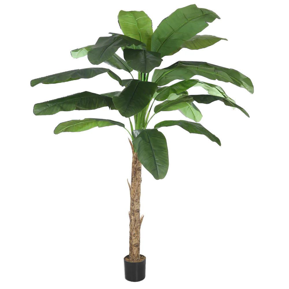 Artificial Banana Tree – Tall Realistic Faux Tropical Plant in Black  Pot - Image 11