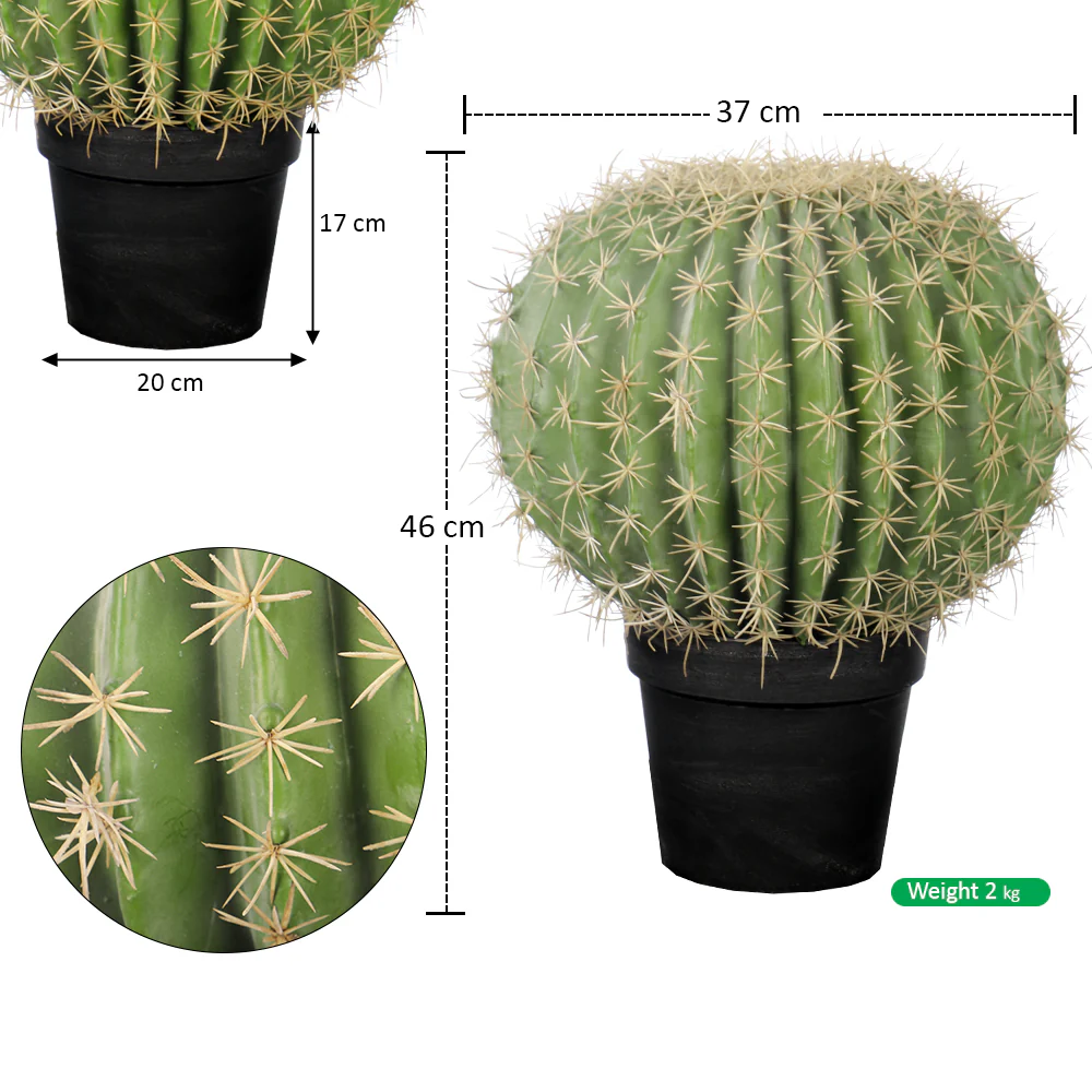 Artificial Barrel Cactus - Image 15