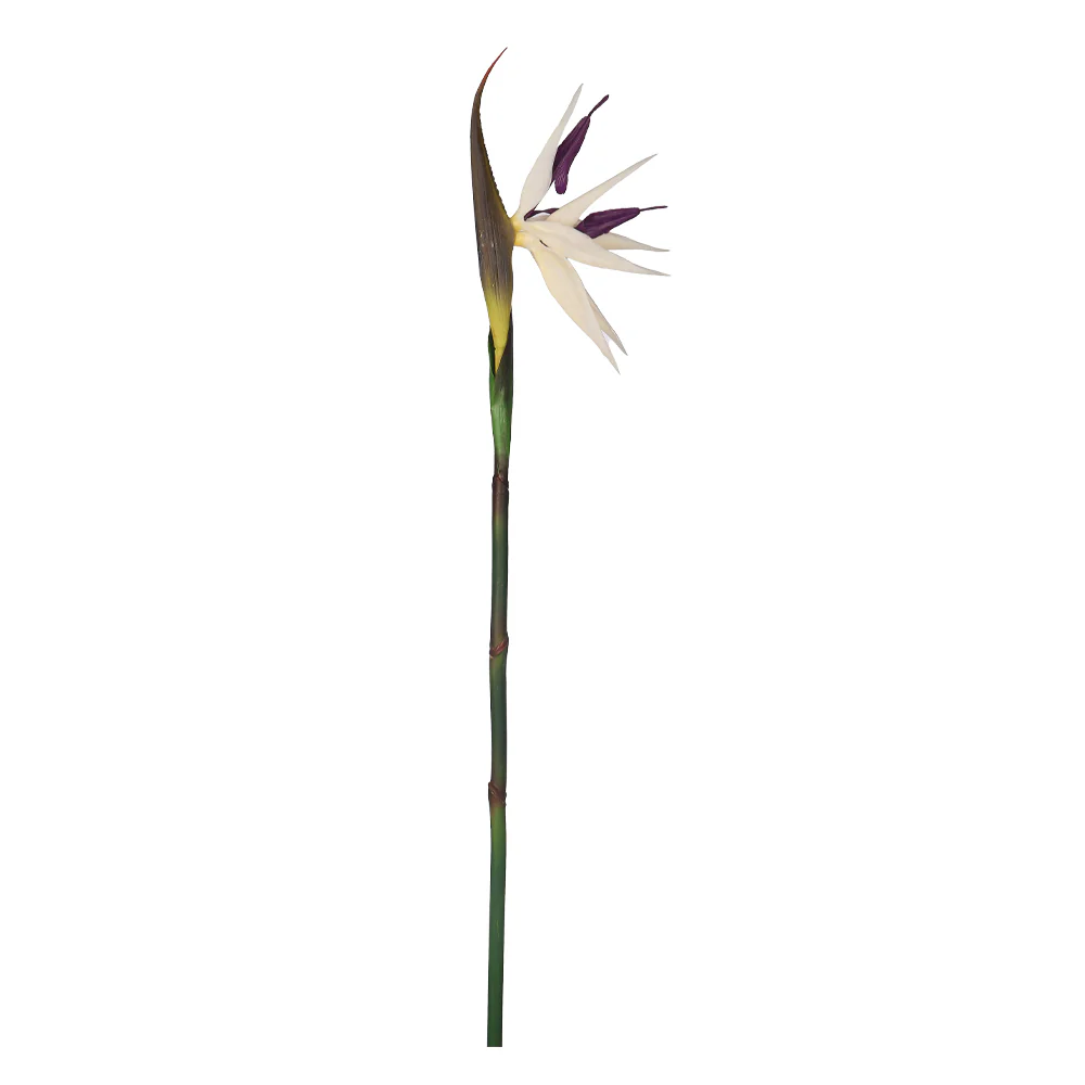 Artificial Bird of Paradise Stem (without vase) - Image 6