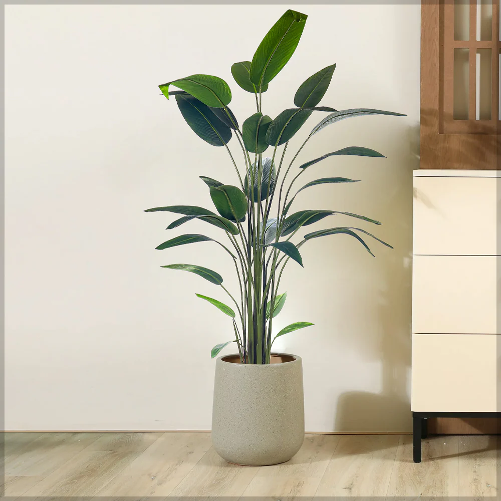 Artificial Birds of Paradise Plant(with black nursery pot) - Image 12