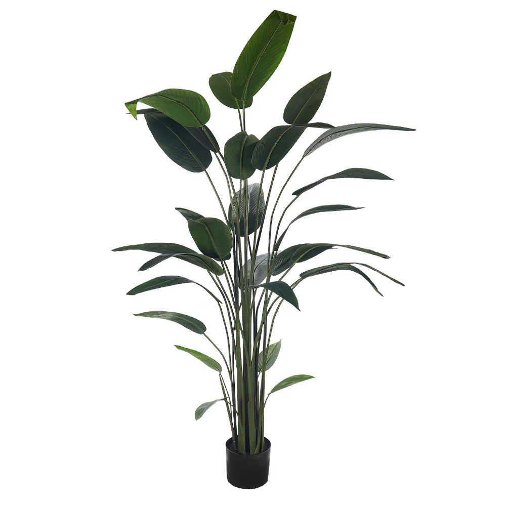 Artificial Birds of Paradise Plant(with black nursery pot) - Image 5