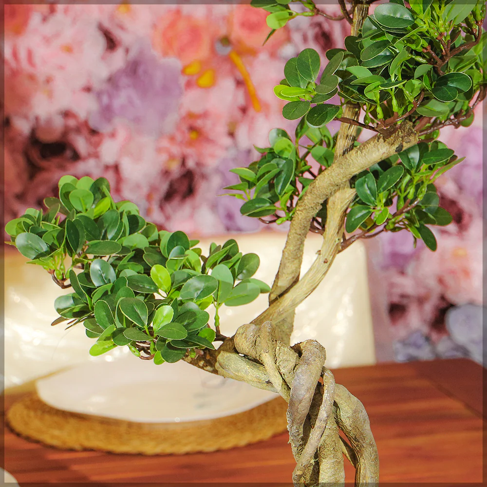 Artificial Cajuput Bonsai Tree - Image 5