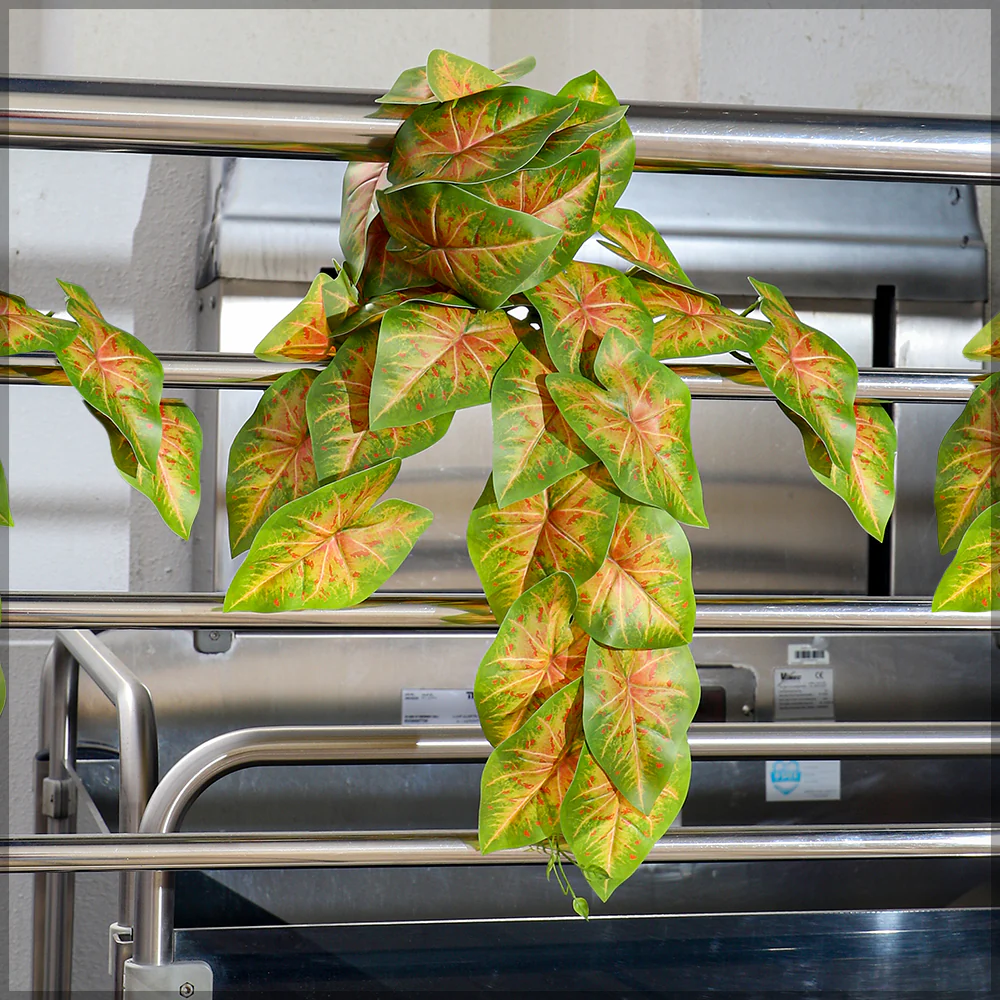 Artificial Caladiums Vine Leaves - Image 5