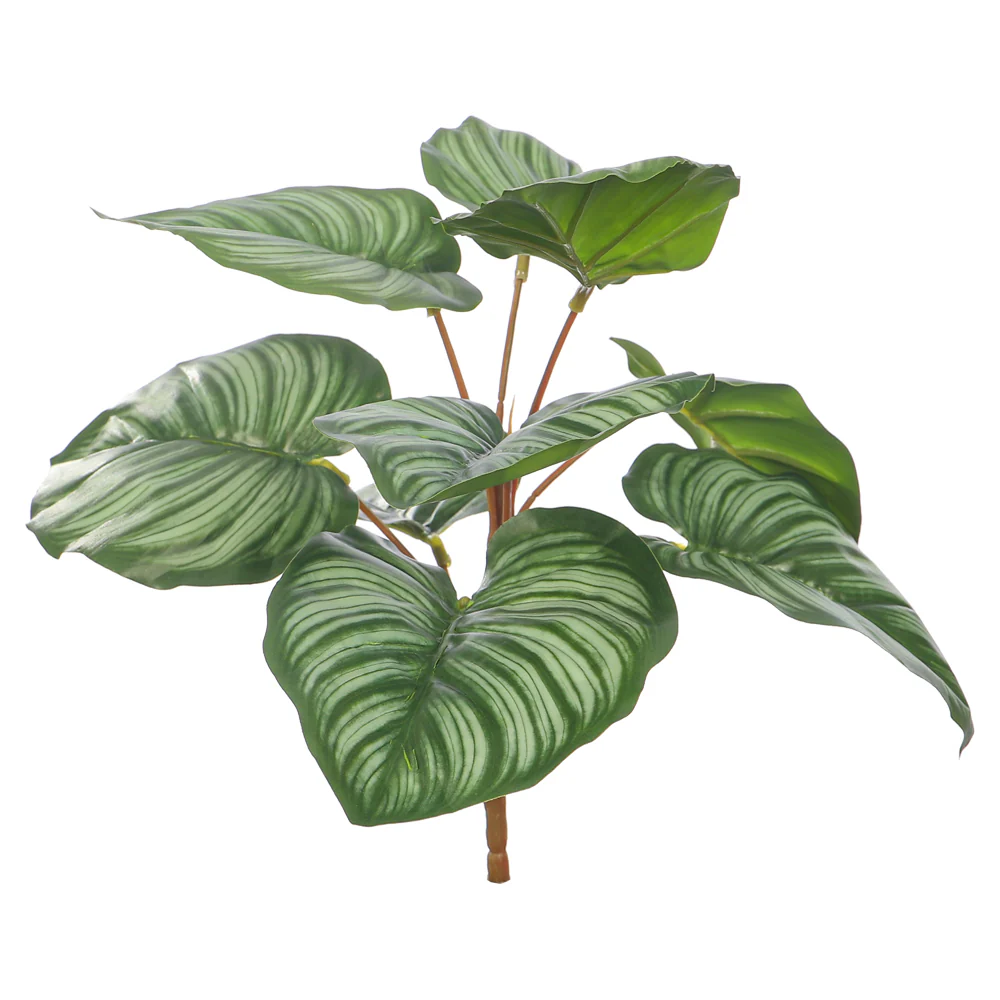 Artificial Calathea Orbifolia Bunch Leaves(without vase) - Image 3