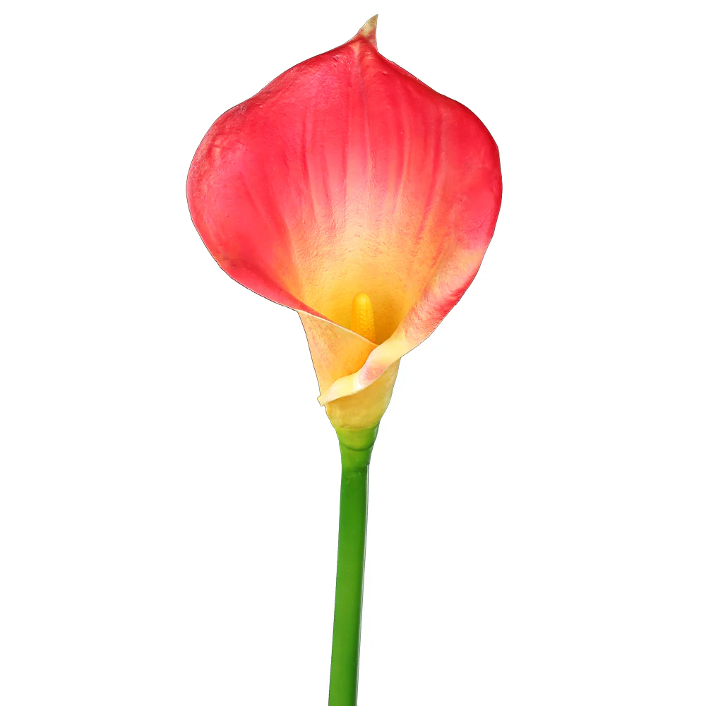 Artificial Calla Lilies Flowers Single Stem (without vase) - Image 7