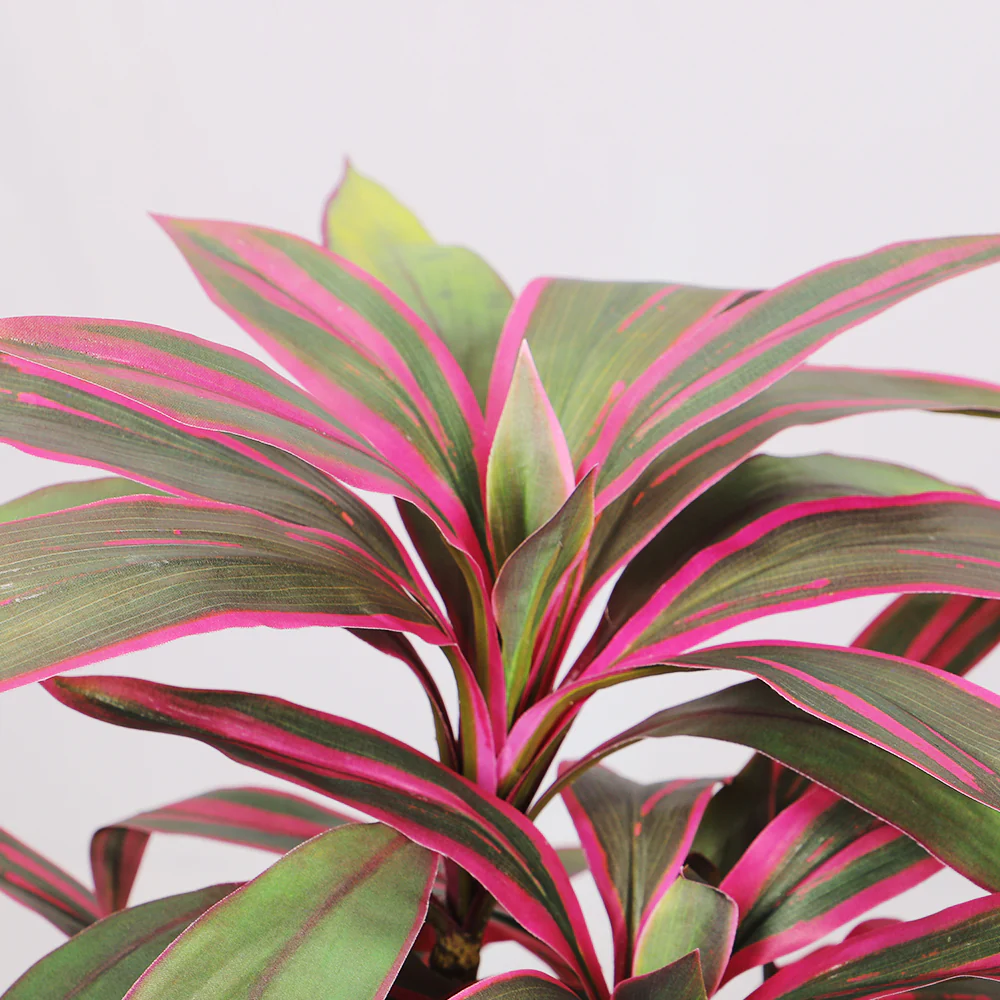 Artificial Cordyline Fruticosa Excelsa Plant - Image 4