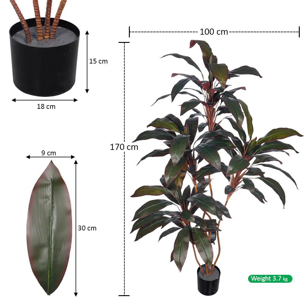 Artificial Cordyline Fruticosa Plant - Image 8