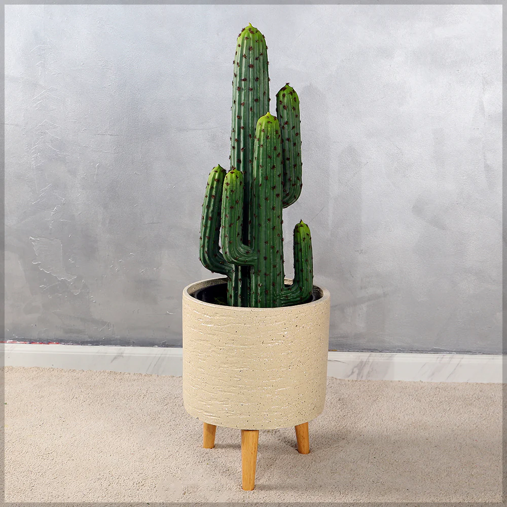 Artificial Desert Thorn Ball Cactus(with black nursery pot)