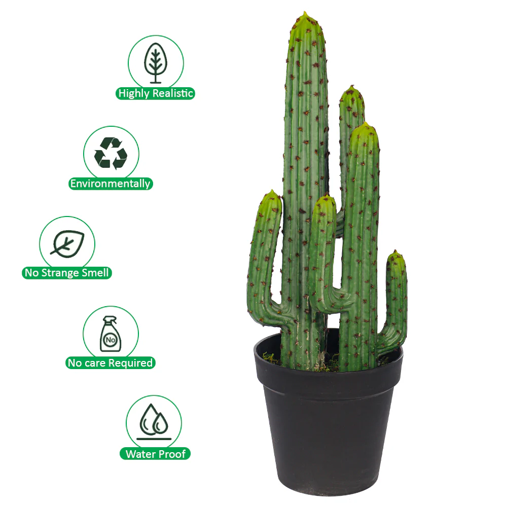 Artificial Desert Thorn Ball Cactus(with black nursery pot) - Image 3