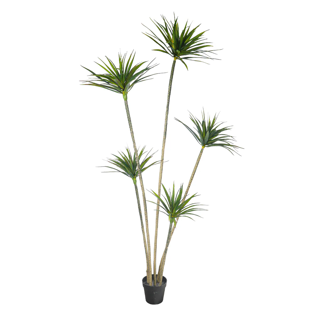 Artificial Dracaena Plant 210cm Tall(with black nursery pot) - Image 2
