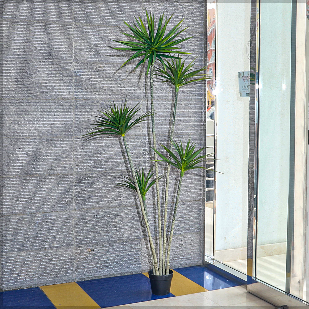Artificial Dracaena Plant 210cm Tall(with black nursery pot) - Image 8