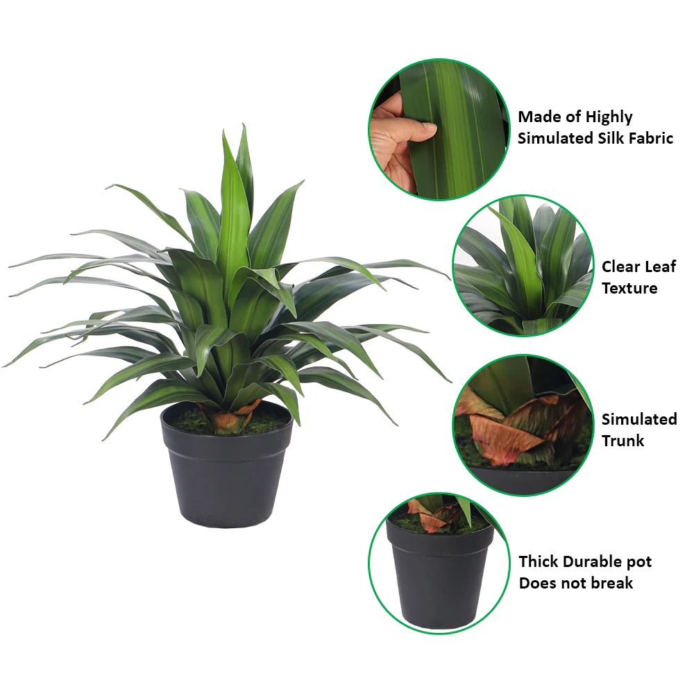 Artificial Dracaena Plants - Image 10