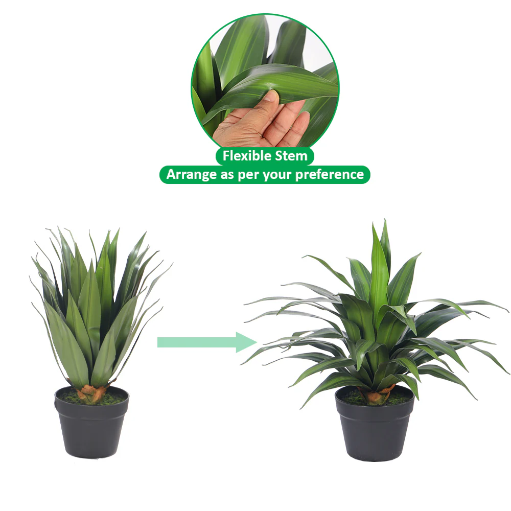 Artificial Dracaena Plants - Image 12