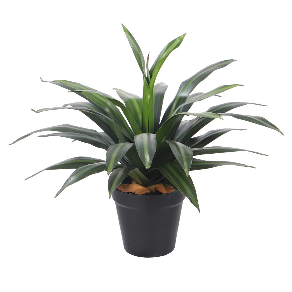 Artificial Dracaena Plants - Image 6
