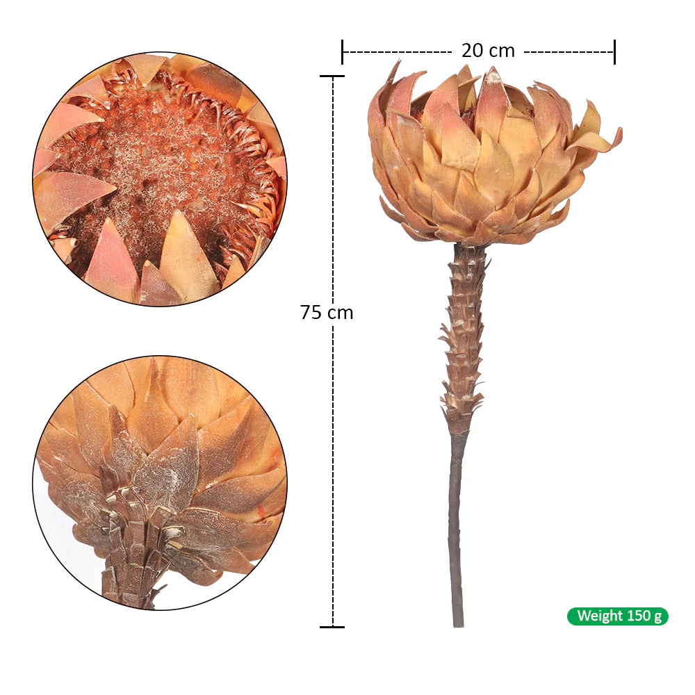 Artificial Dried Look King Protea(without vase) - Image 2