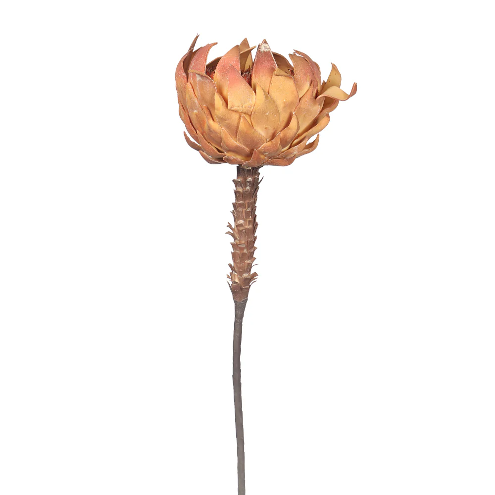 Artificial Dried Look King Protea(without vase) - Image 3