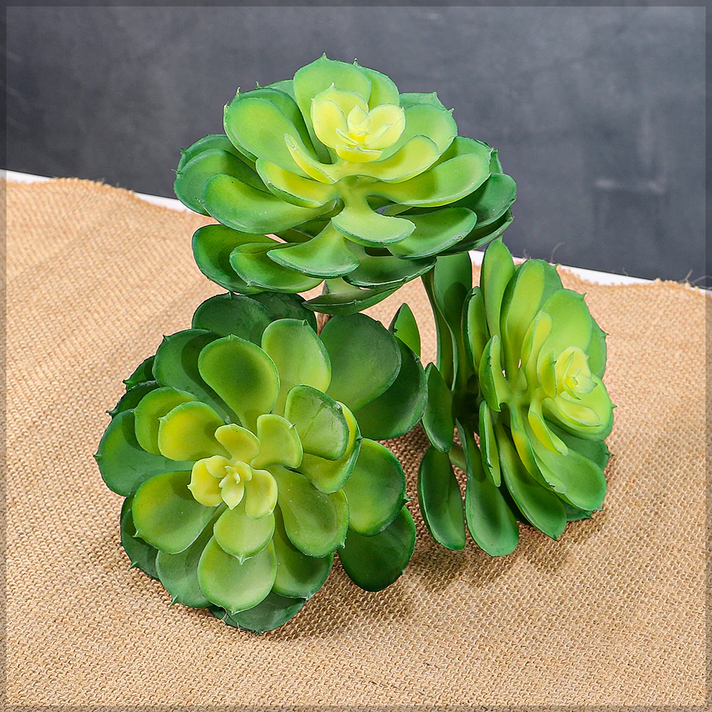 Single Piece Artificial Echeveria Elegans Succulent