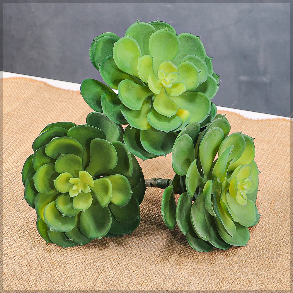 Single Piece Artificial Echeveria Elegans Succulent - Image 10