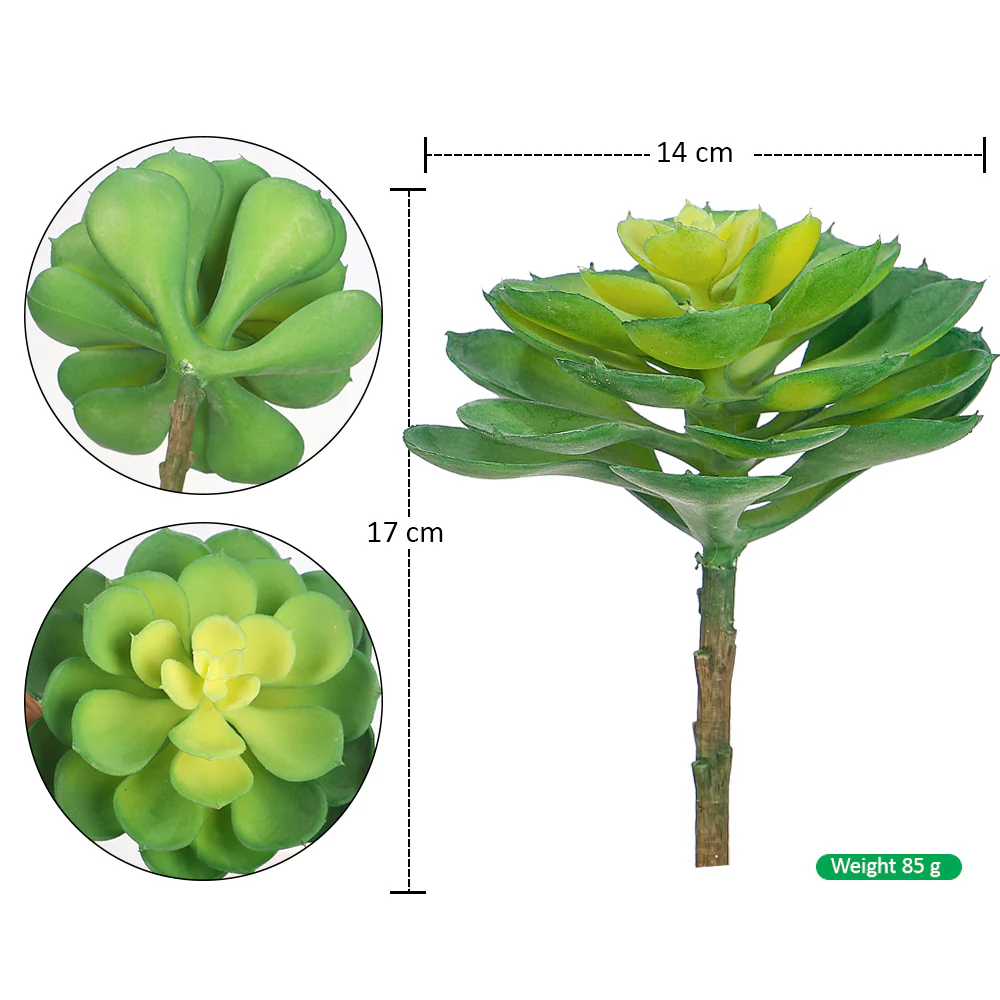 Single Piece Artificial Echeveria Elegans Succulent - Image 2