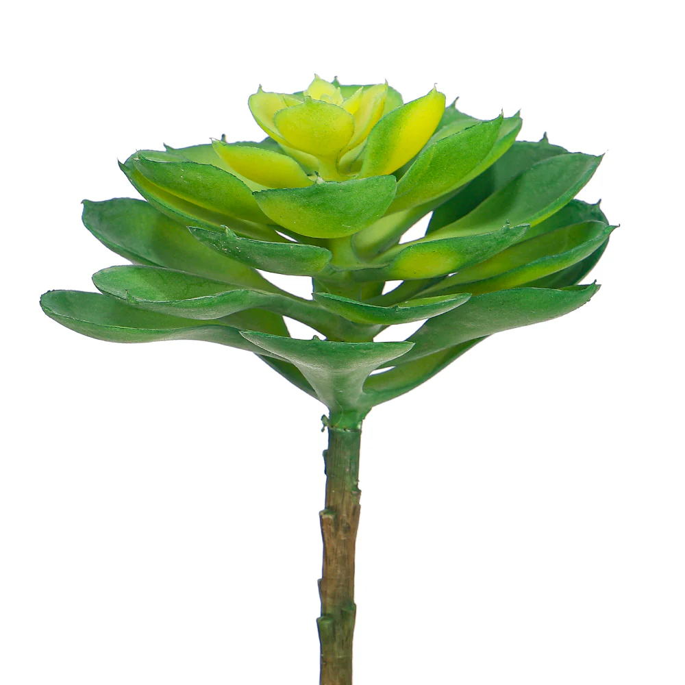 Single Piece Artificial Echeveria Elegans Succulent - Image 3