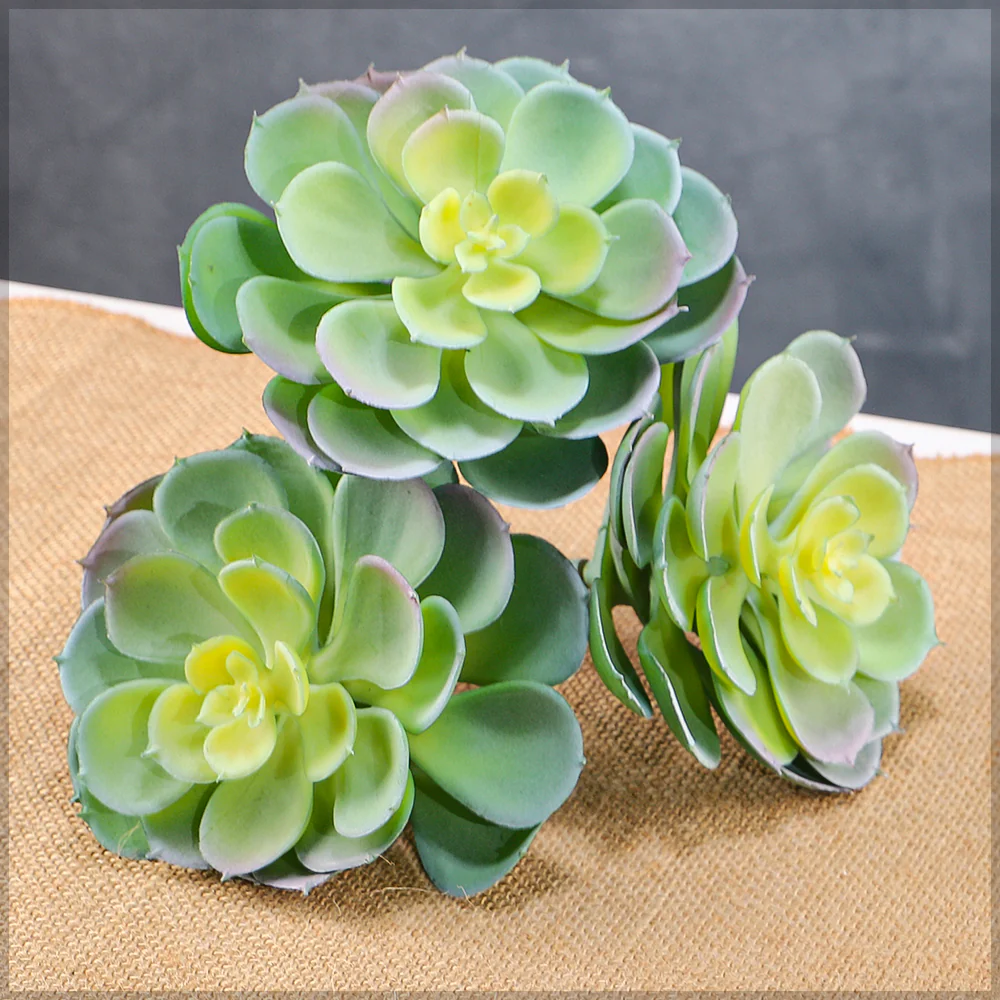 Single Piece Artificial Echeveria Elegans Succulent - Image 4
