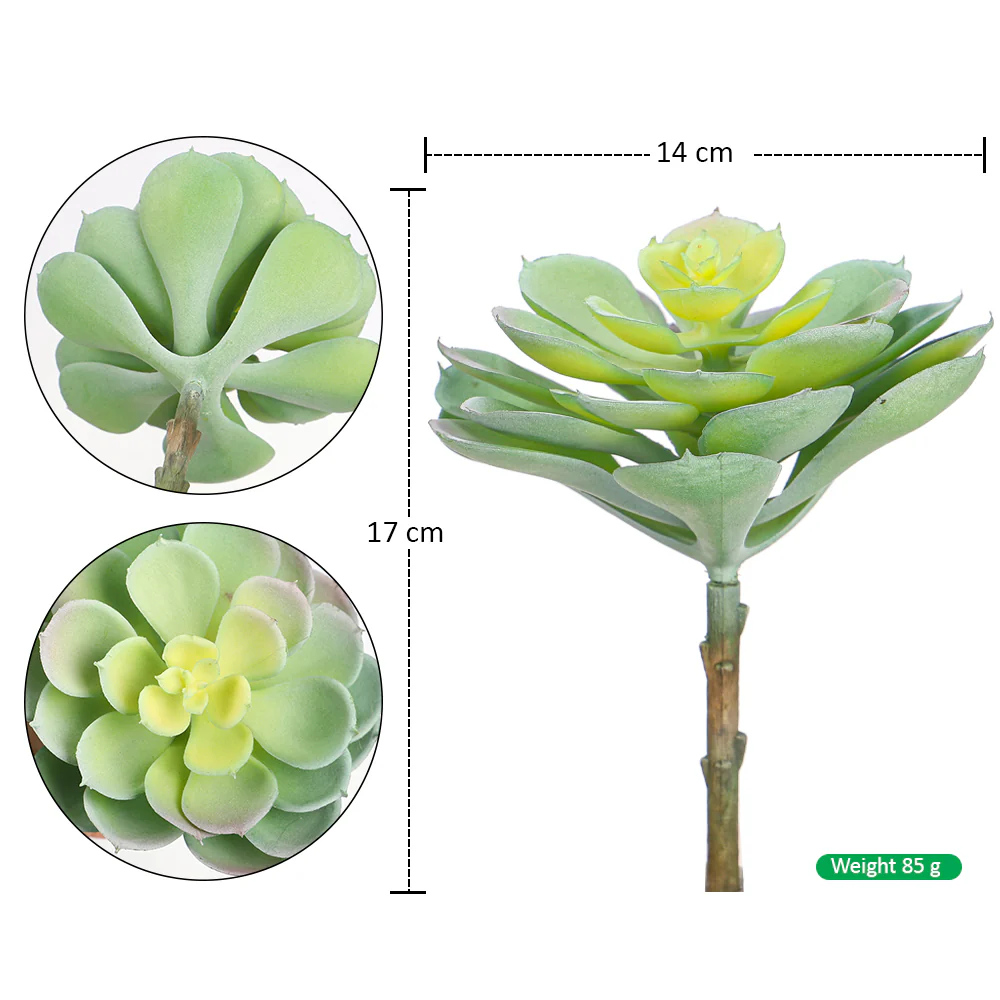 Single Piece Artificial Echeveria Elegans Succulent - Image 6