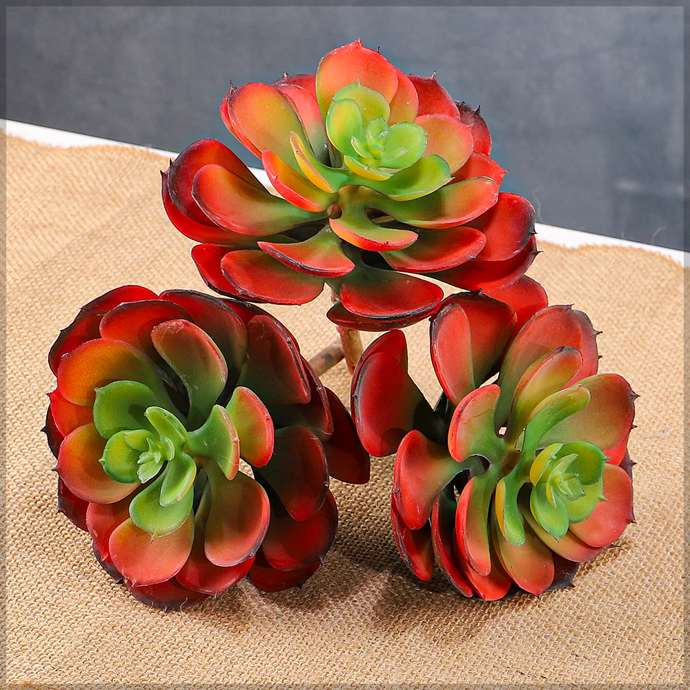 Single Piece Artificial Echeveria Elegans Succulent - Image 7