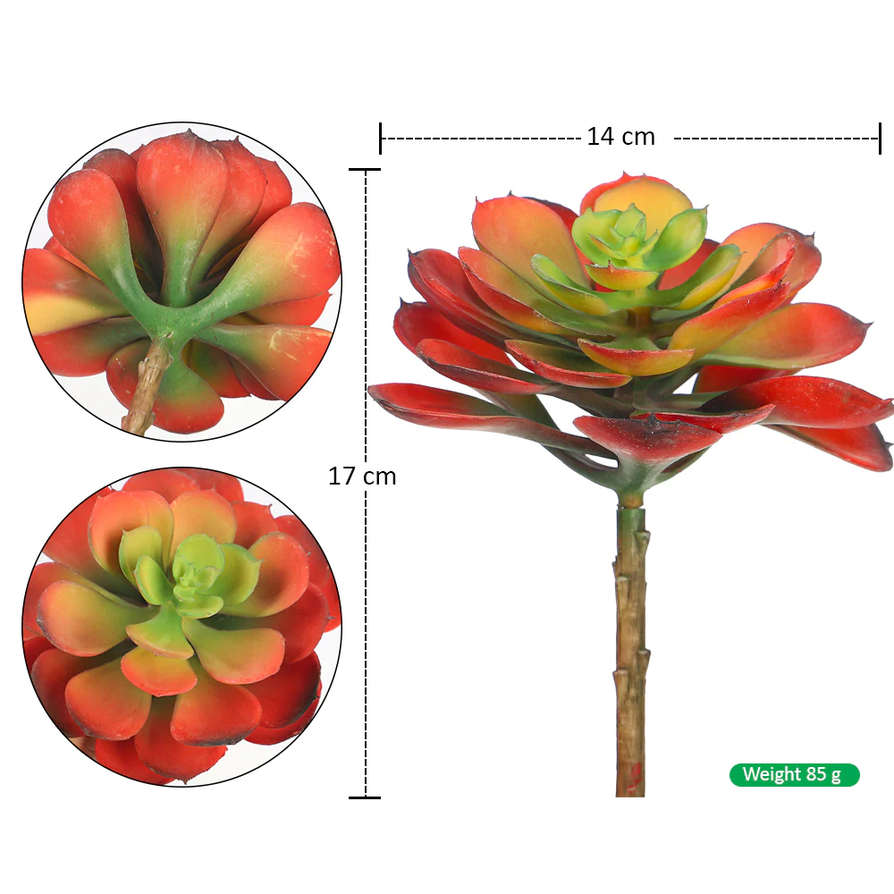 Single Piece Artificial Echeveria Elegans Succulent - Image 8