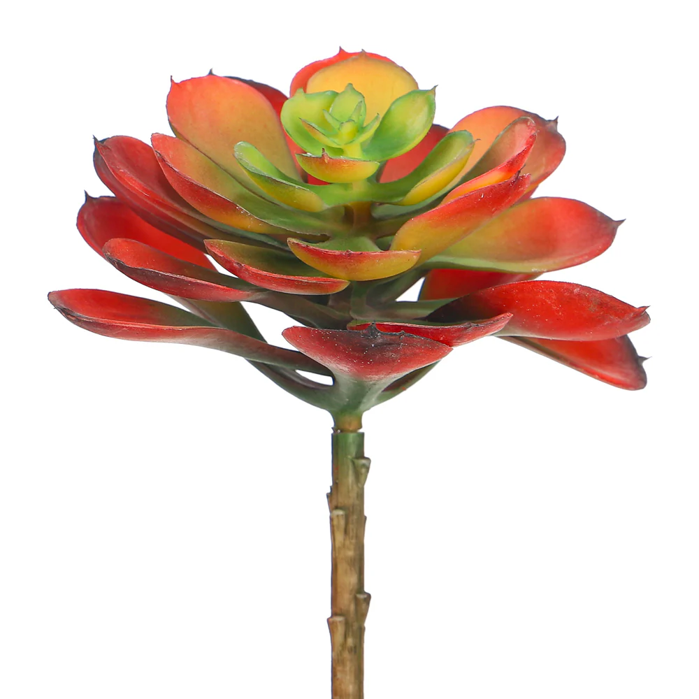 Single Piece Artificial Echeveria Elegans Succulent - Image 9