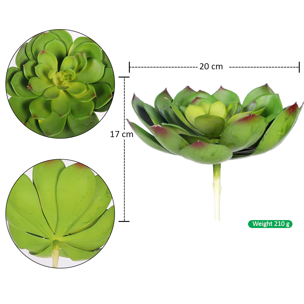 Artificial Echeveria Succulent Plant(without vase) - Image 2