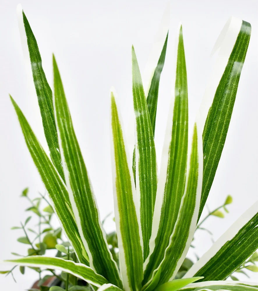Artificial Eucalyptus Plant For Home - Image 3