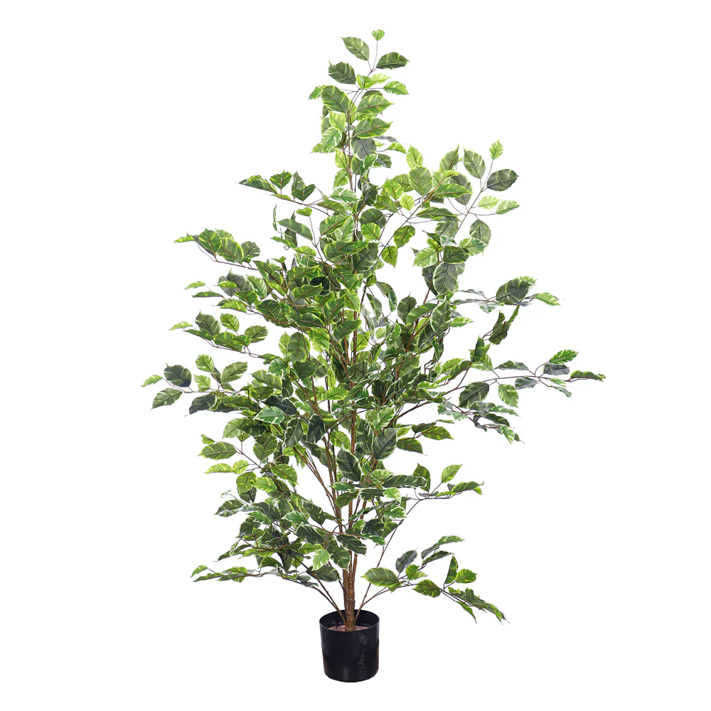 Artificial Ficus Plant 130cm Tall - Image 4
